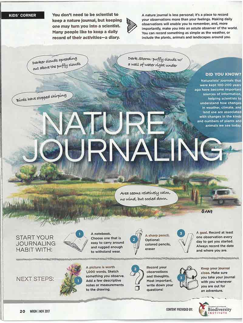 An illustrative image of a Wren article on nature journaling