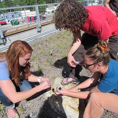 Undergradute Education - LInk - Image of undergraduate students working on the Green Roof. 