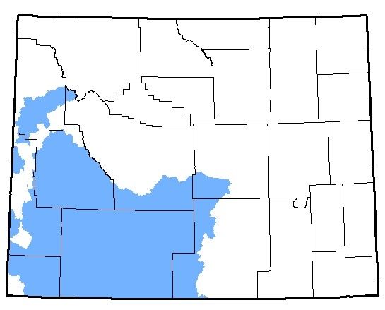 Map of Great Basin Spadefoot habitation 